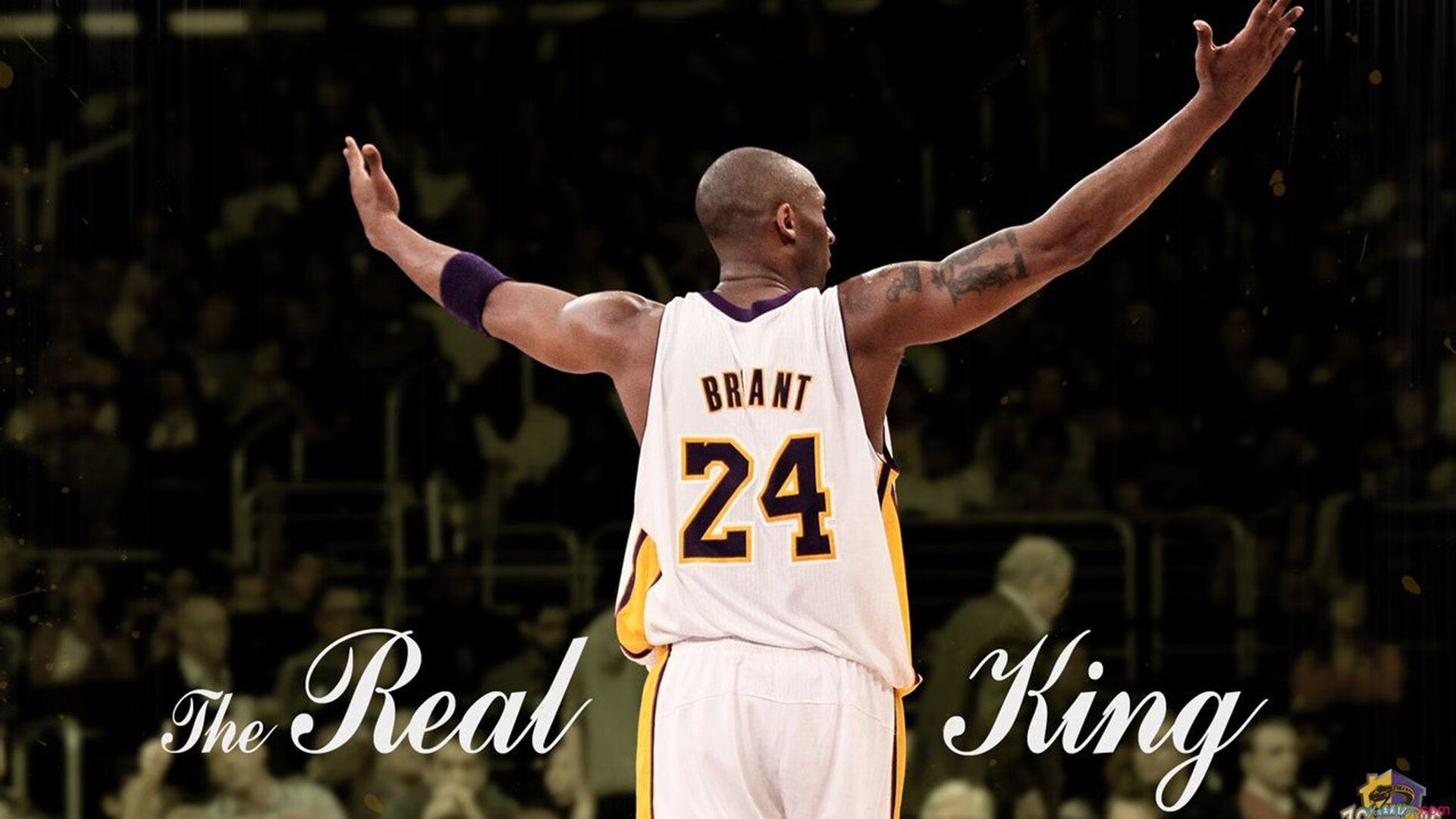 KAIYUN- 广州队外援达拉斯摩尔