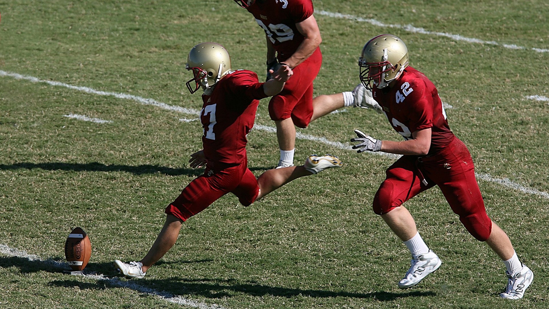  campaign中文翻译 